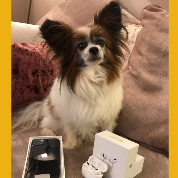 Won the Apple iPhone 13 and Airpods Pro #5!!