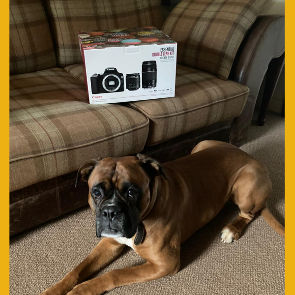 Won the Canon EOS 250D Digital SLR Camera Bundle!!