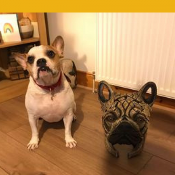 Won the Edge Sculpture: French Bulldog by Matt Buckley!!