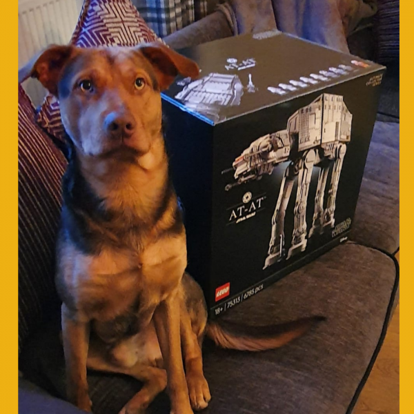 Won the AT-AT™ Lego Set!!