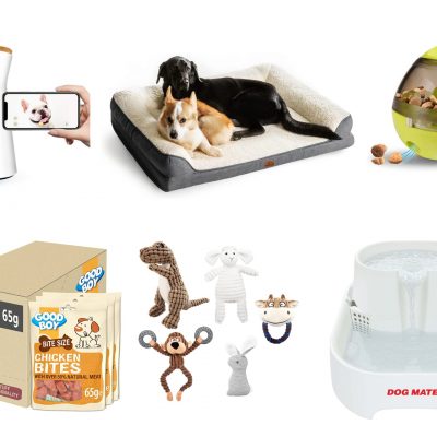 Doggy Bundle #3 (DRAWN 28.02.22)