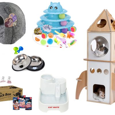 What's New Pussycat? #2 (DRAWN 28.02.22)