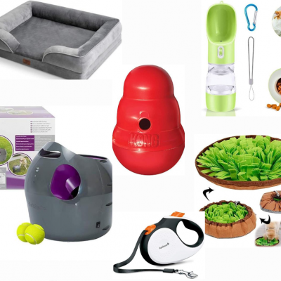 🐾Doggy Bundle🐾 (DRAWN 29.03.22)