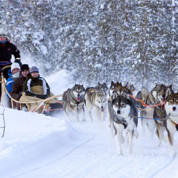 🦌Lapland - Santa's on his way trip 2025 +£500 Cash🦌