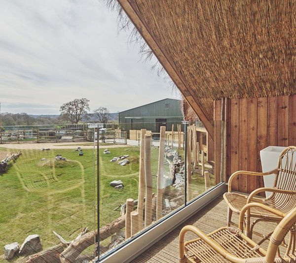 🦒 West Midlands Safari Lodge Stay + £1k Cash 🦒