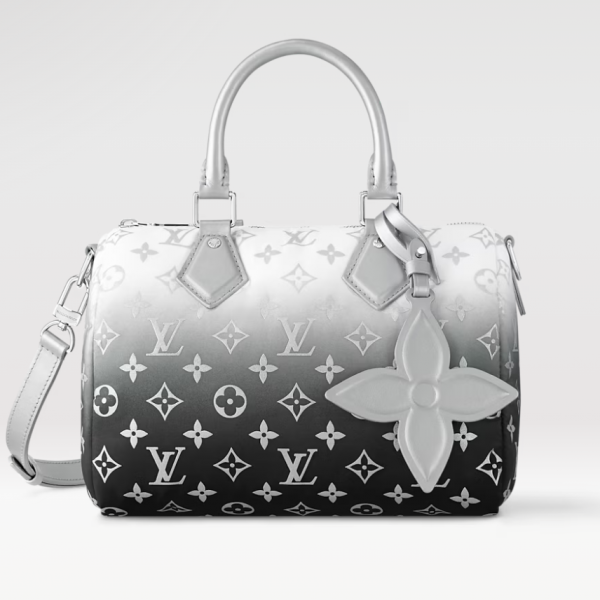 ❄️Louis Vuitton Snow Collection Speedy Bandoulière 25 Bag ❄️