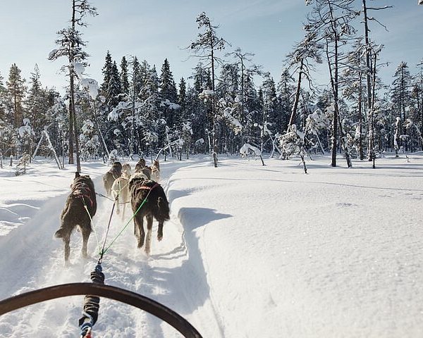 1 day search for Santa Daytrip to Lapland 2025 for family for 4 & £200🎅