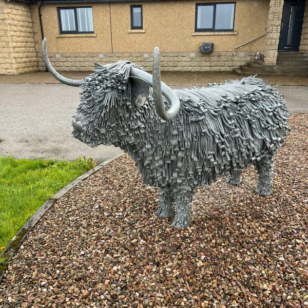 🐮Artfe - Booounty Coo🐮